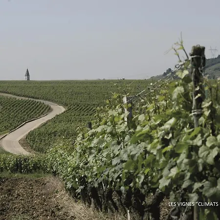 فندق Montchapet Centre