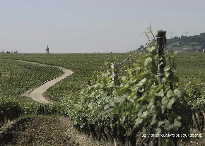 Hotel Montchapet Centre